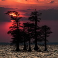 IMG 7045-Edit-2